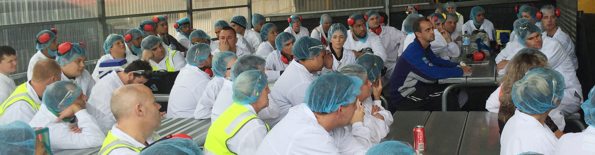 350-poultry-workers-out-of-jobs-as-inghams-abandons-cardiff-amieu